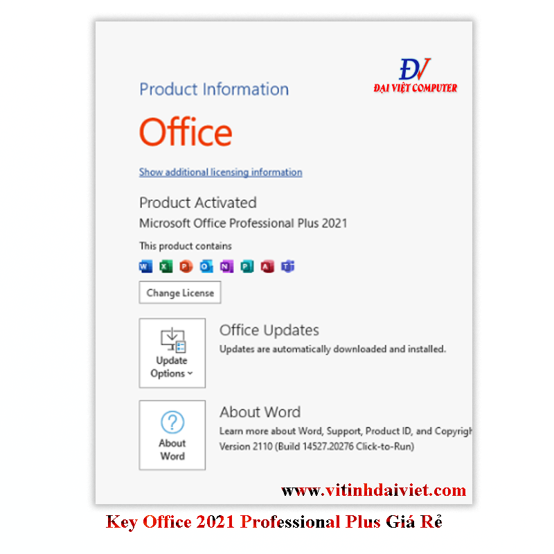 Key Office 2021 Professional Plus Giá Rẻ